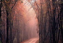 在哪里能看日本乙级联赛直播？日乙直播有哪些特色和注意点？